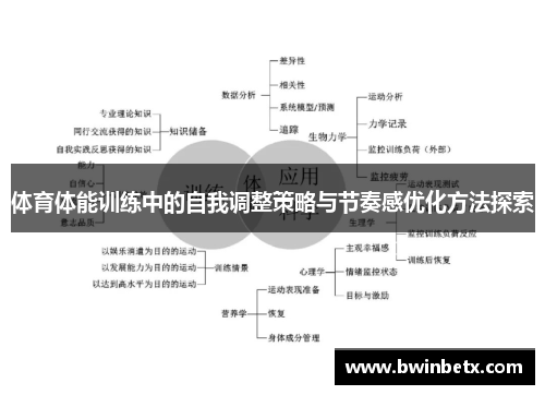 体育体能训练中的自我调整策略与节奏感优化方法探索