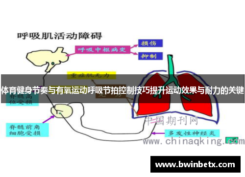 体育健身节奏与有氧运动呼吸节拍控制技巧提升运动效果与耐力的关键
