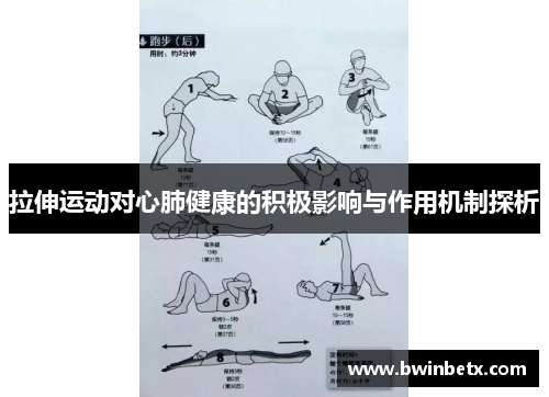 拉伸运动对心肺健康的积极影响与作用机制探析