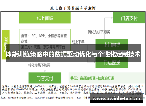 体能训练策略中的数据驱动优化与个性化定制技术